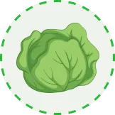 汇聚全球足球激情 - 世界杯直播