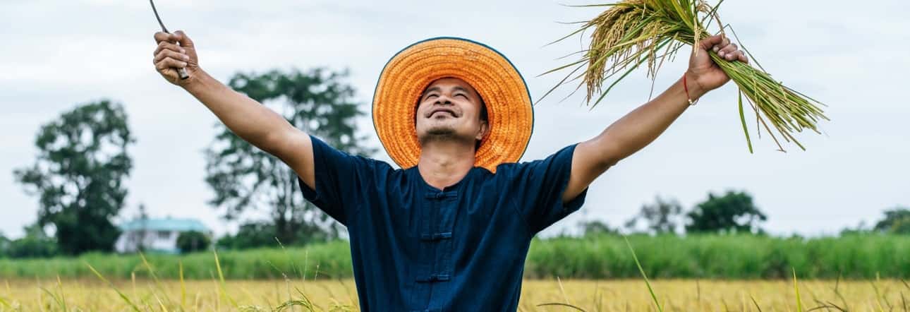 世界杯直播