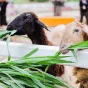 搜索 - 世界杯直播